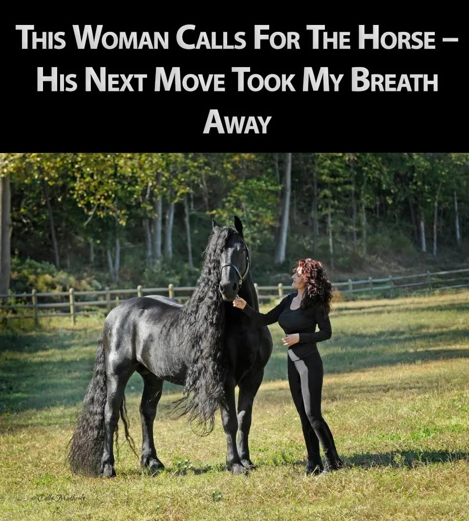 This Woman Calls For The Horse – His Next Move Took My Breath Away