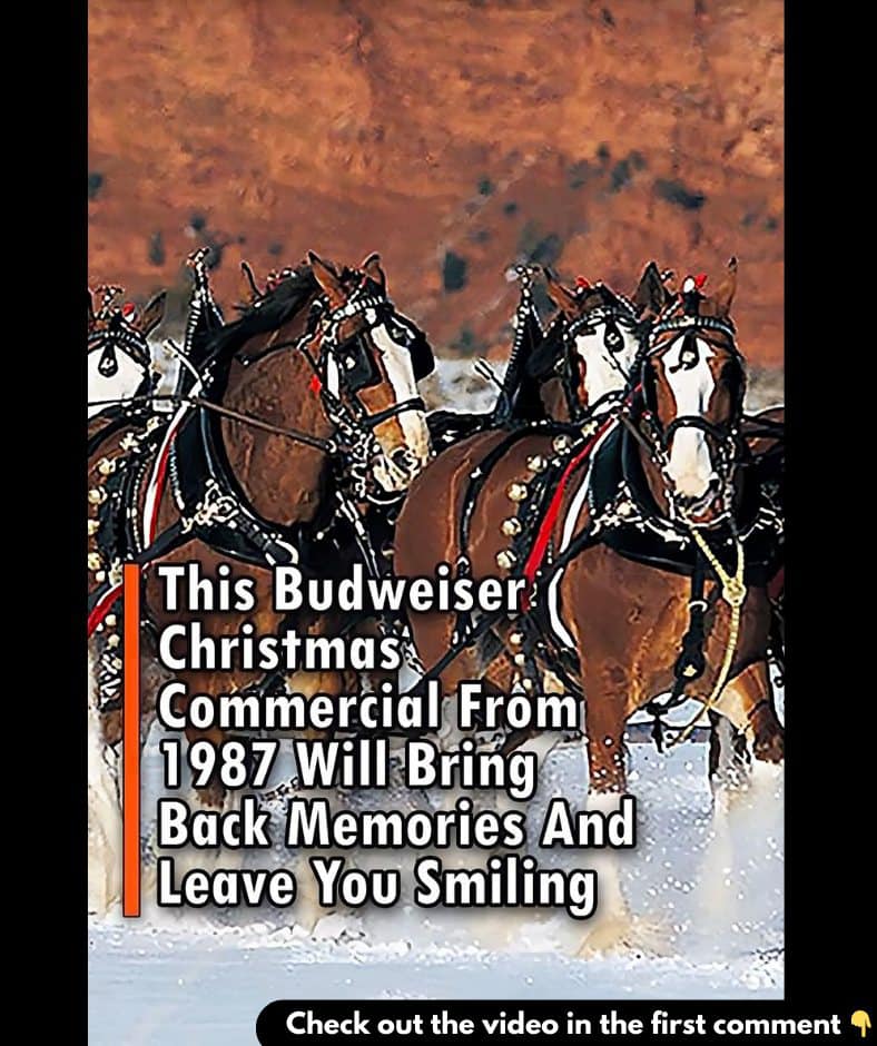 This Budweiser Christmas Commercial From 1987 Will Bring Back Memories And Leave You Smiling